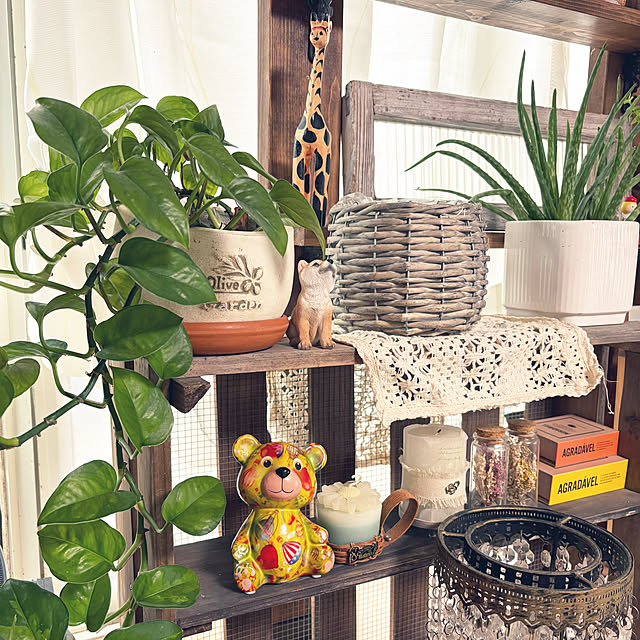 Fumiさんの実例写真