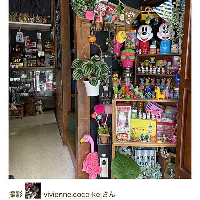 vivienne.coco-keiさんの実例写真