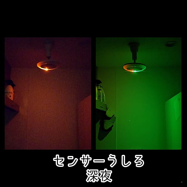 mi-saさんの部屋