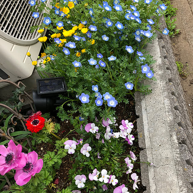 miukiさんの部屋