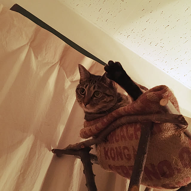 Mさんの実例写真