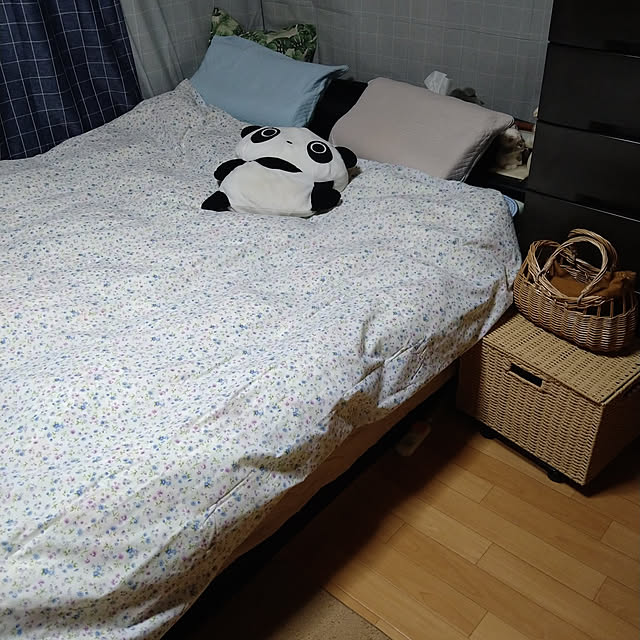 ameamekaasanさんの実例写真