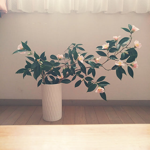 wvo_ovwさんの実例写真