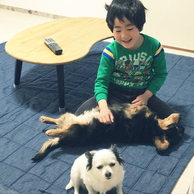 ohanaさんの実例写真