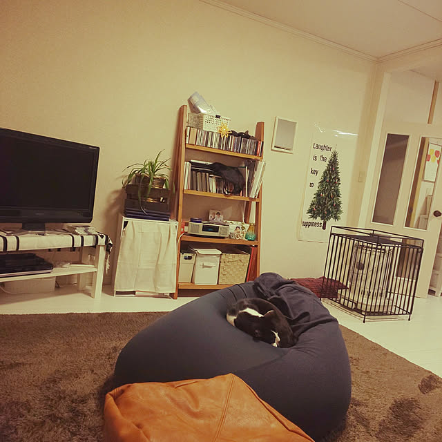 oseroさんの実例写真