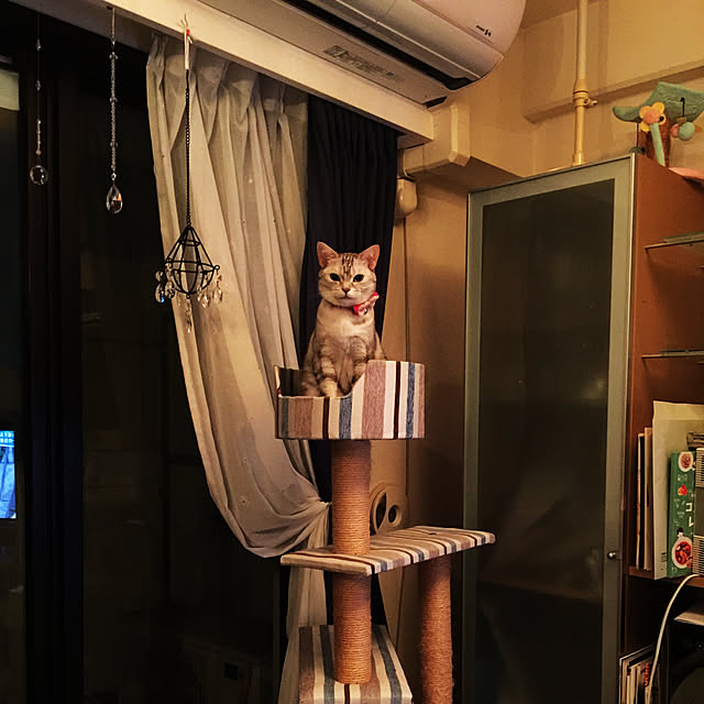 fantasticさんの実例写真
