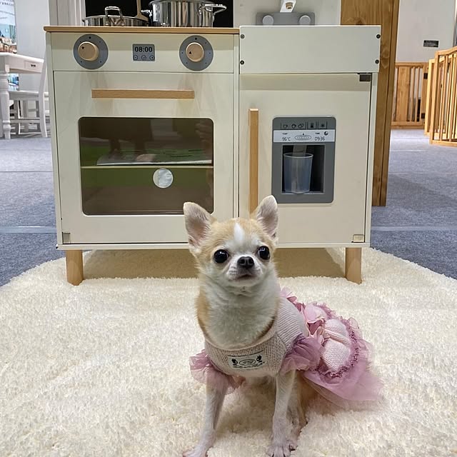 taitainteさんの実例写真