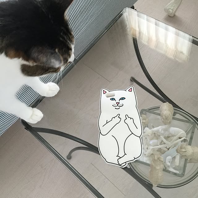 yuchiさんの実例写真