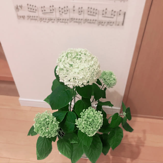 saahannさんの実例写真