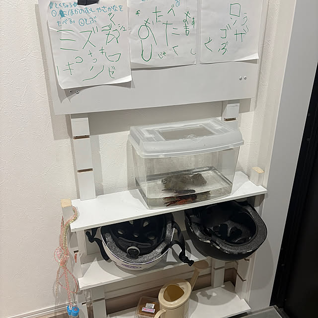 hatuさんの実例写真