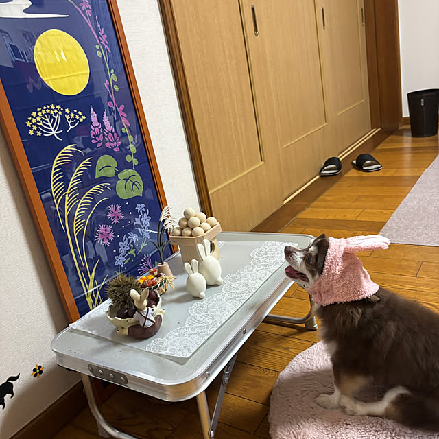 chIoeさんの実例写真