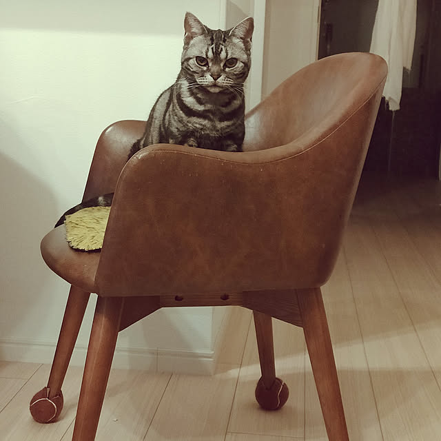 Yoko622さんの実例写真