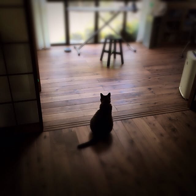 PEさんの実例写真