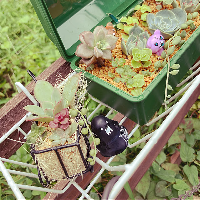 OCDTa2さんの実例写真