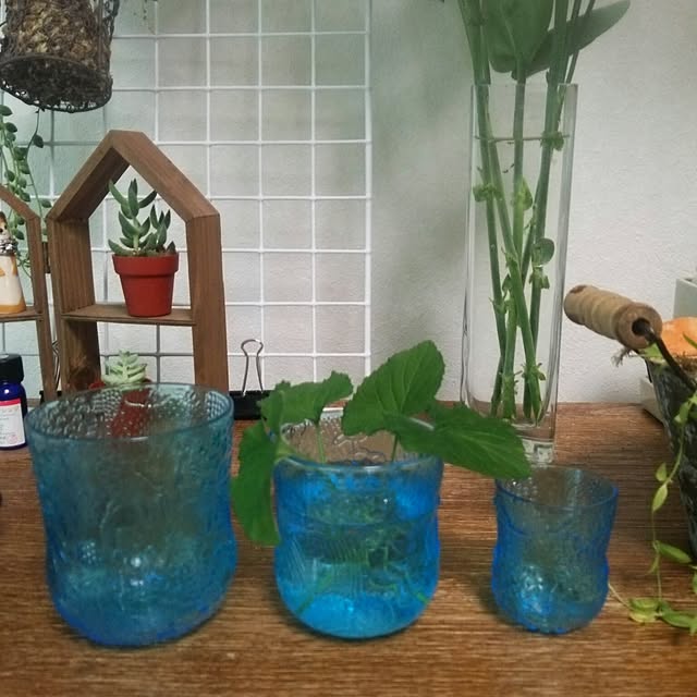 Ariyaさんの実例写真