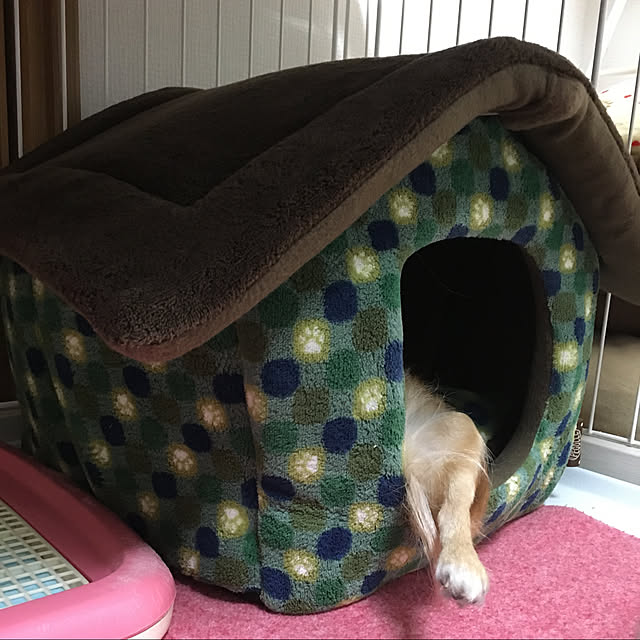 koroさんの実例写真