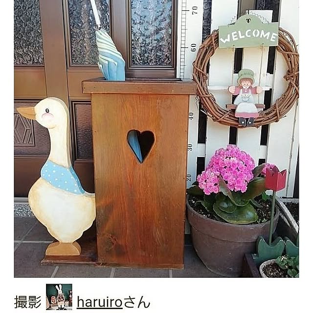 haruiroさんの実例写真