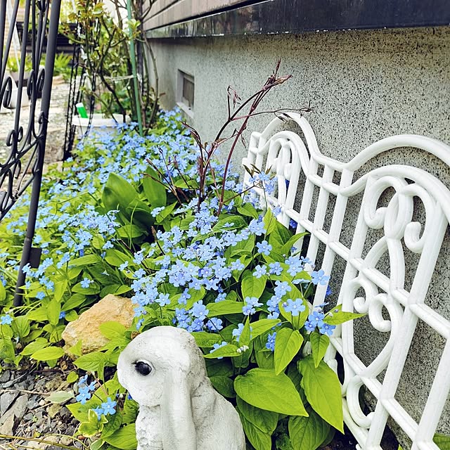 kiraさんの実例写真