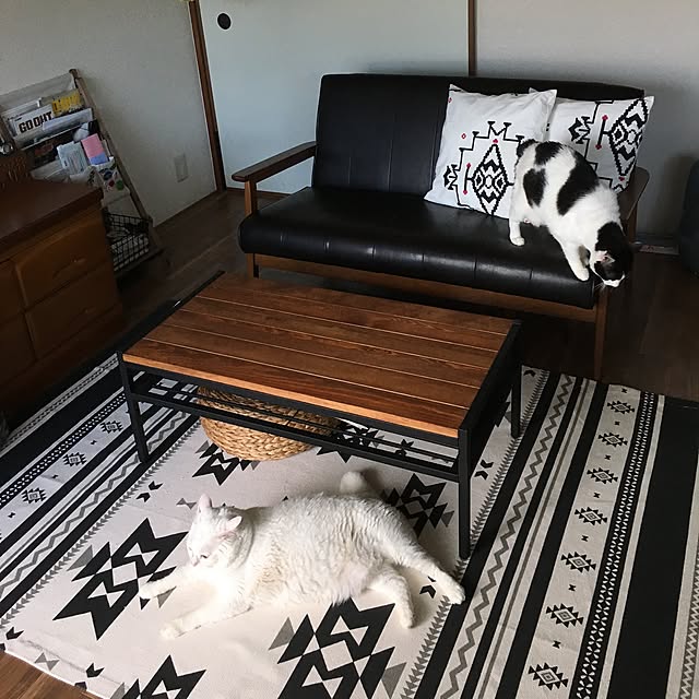 jijilocopikiさんの実例写真