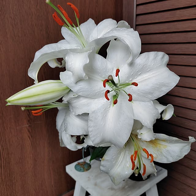 kiraさんの部屋