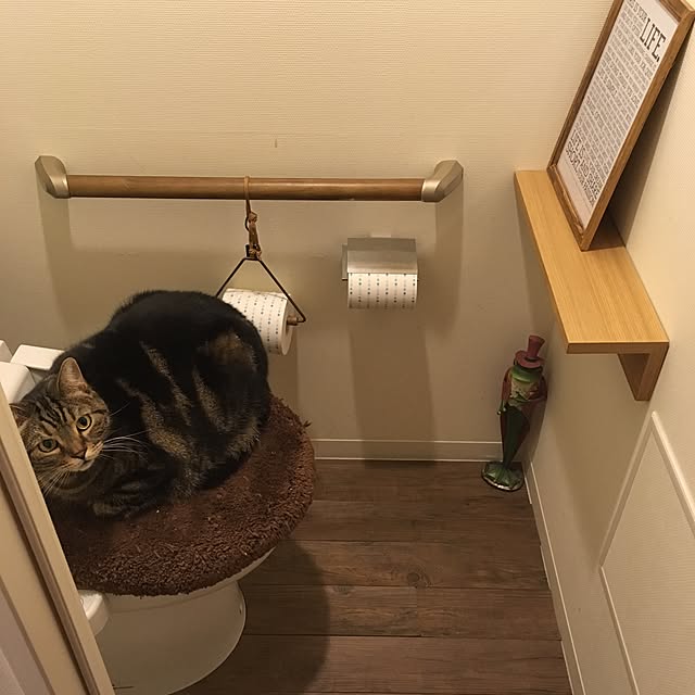 mikomaruさんの実例写真