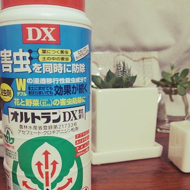 aiさんの実例写真