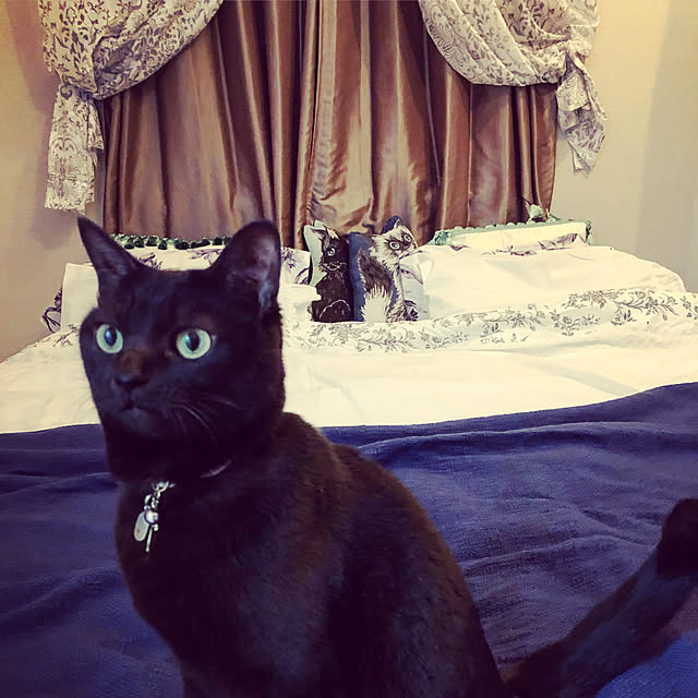 MEさんの実例写真
