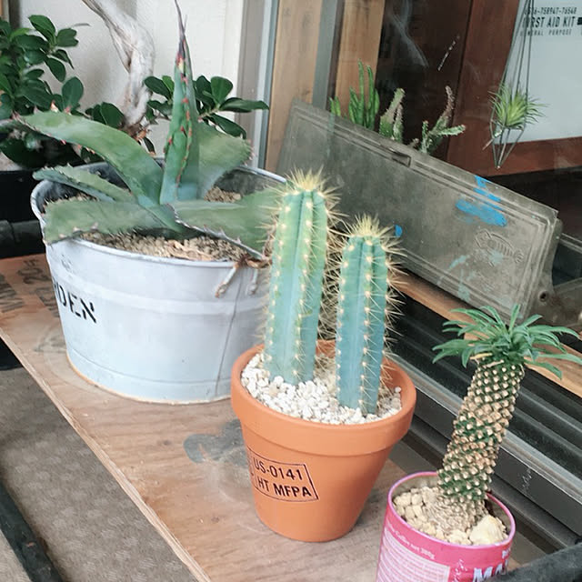 UNさんの実例写真