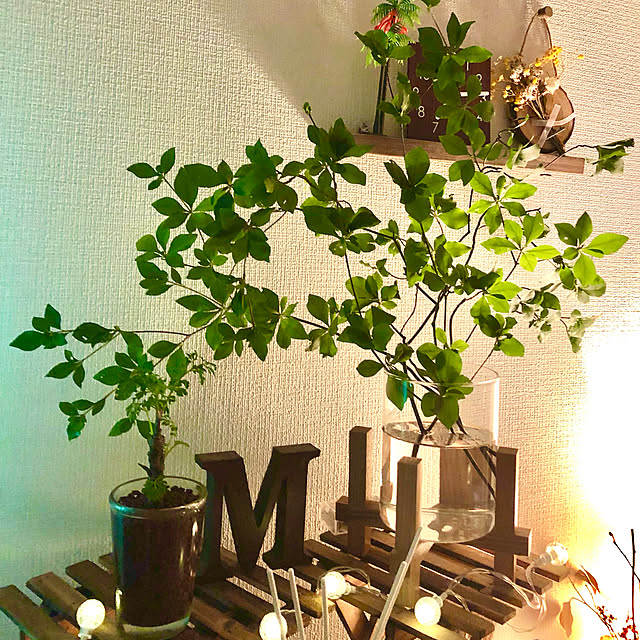 M_Mさんの実例写真