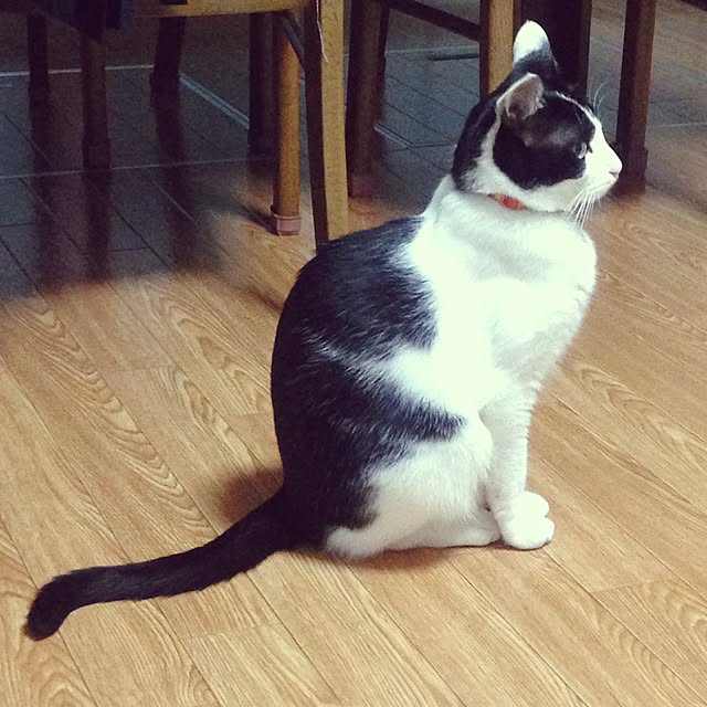 YUKAさんの実例写真