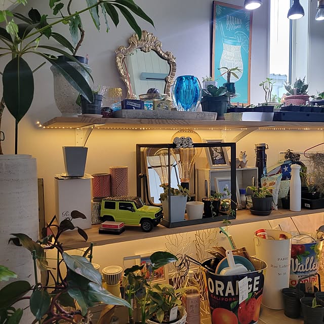 nonbiri_house_さんの部屋