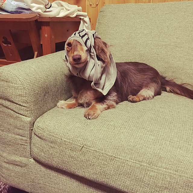 yupponさんの実例写真