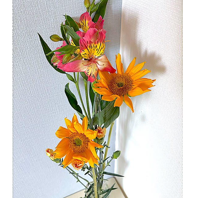 syutmmさんの実例写真