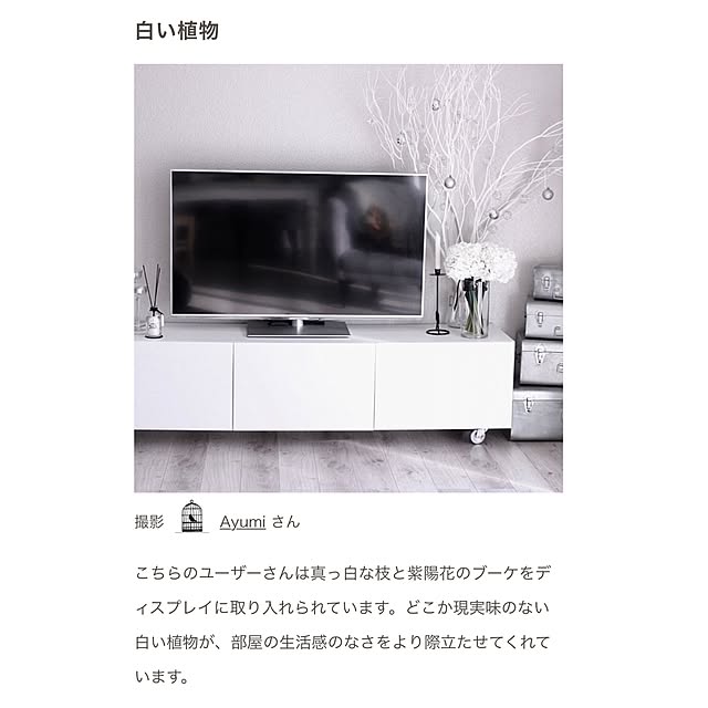 Ayumiさんの実例写真