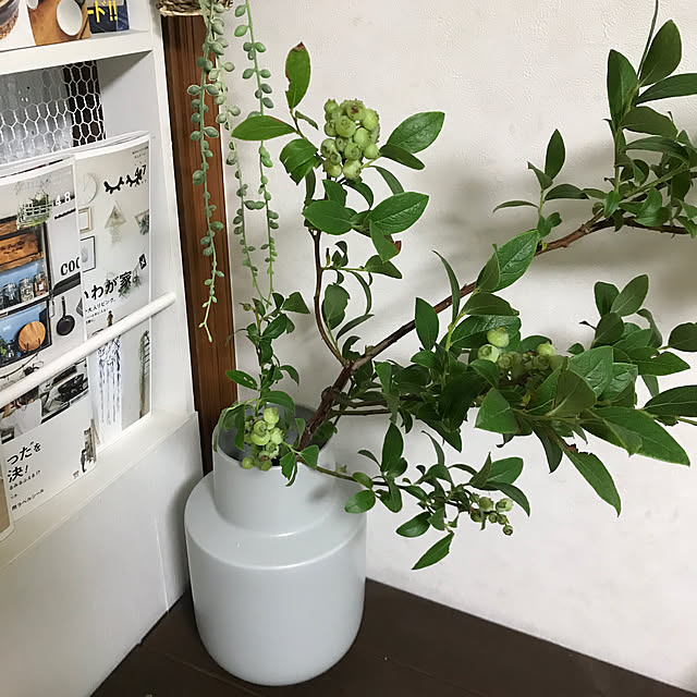 sachieさんの実例写真