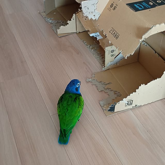 bonoさんの実例写真