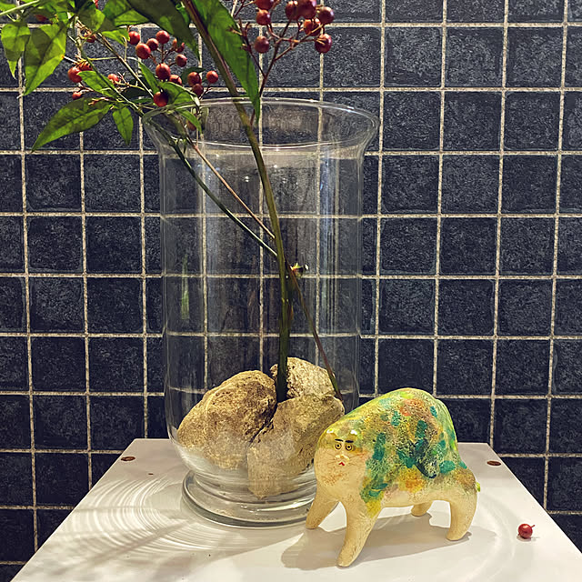 uninekoさんの実例写真