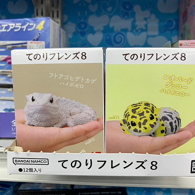 Aqettyさんの部屋