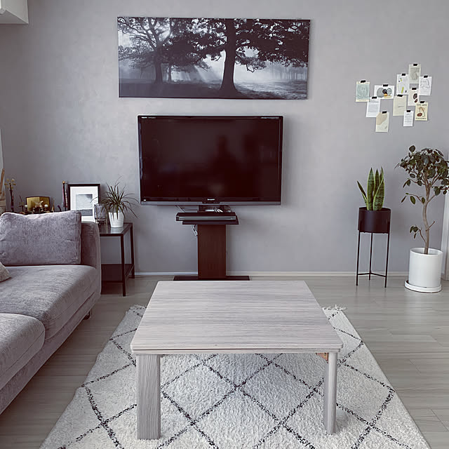 エントリーでP13倍】【IKEAイケア】VITTSJÖ ヴィットショー エントリーでP13倍】【IKEAイケア】VITTSJÖ ヴィットショー