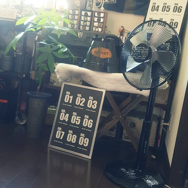 ruachanさんの実例写真