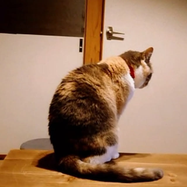 fukuさんの実例写真