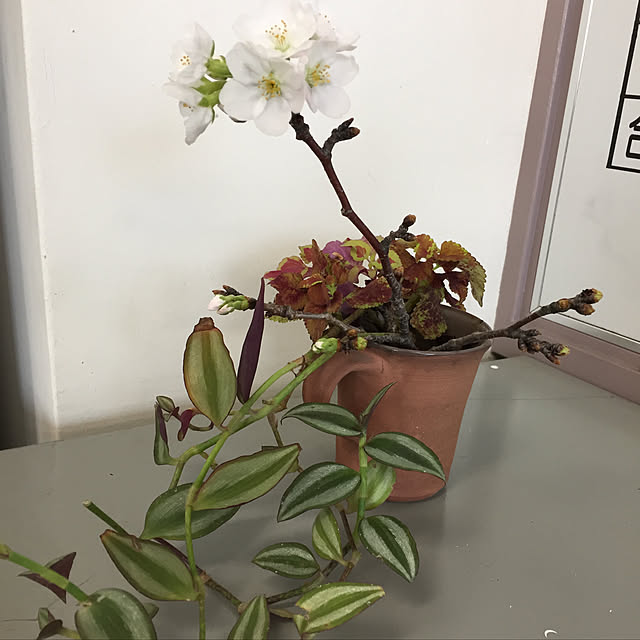 buchiさんの実例写真
