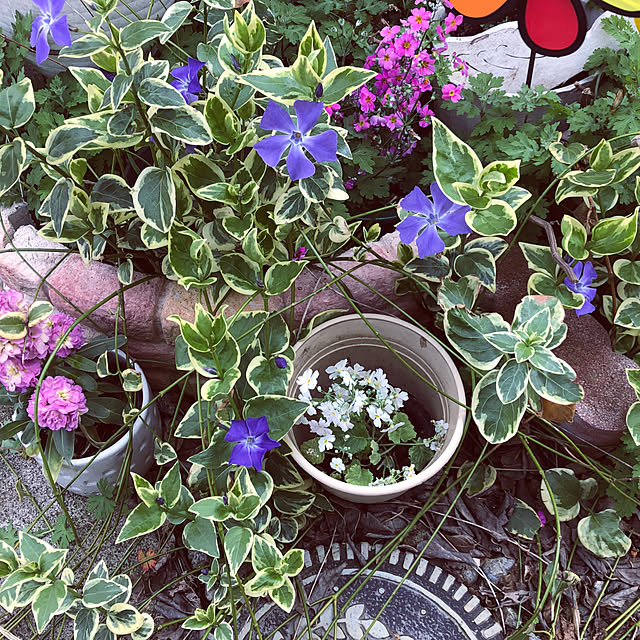 satooさんの実例写真