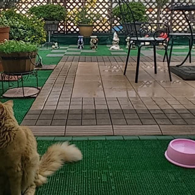 Hiroさんの実例写真