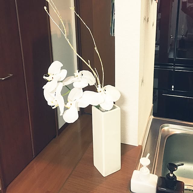 Shutan.さんの実例写真