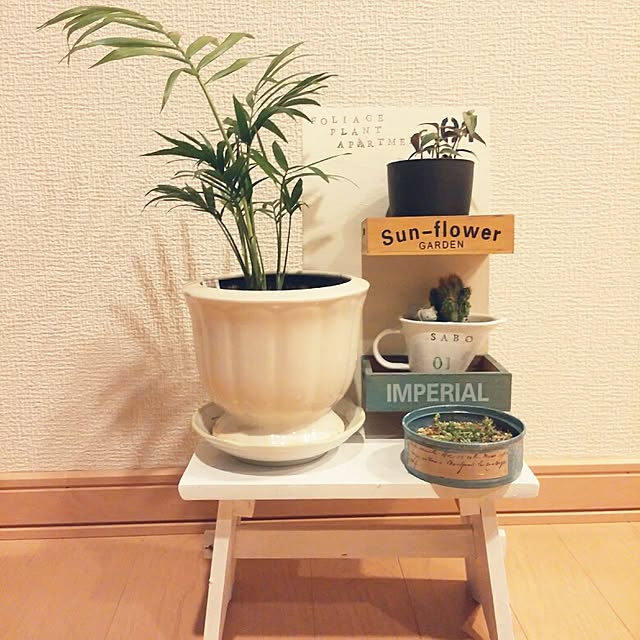 ayuminさんの実例写真