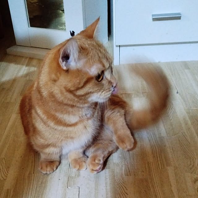 runaさんの実例写真