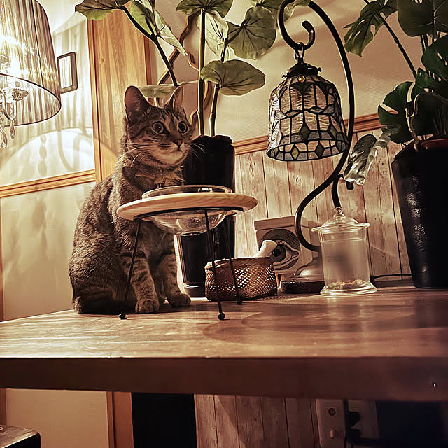 Mさんの実例写真