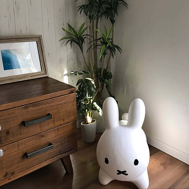Sakuさんの実例写真