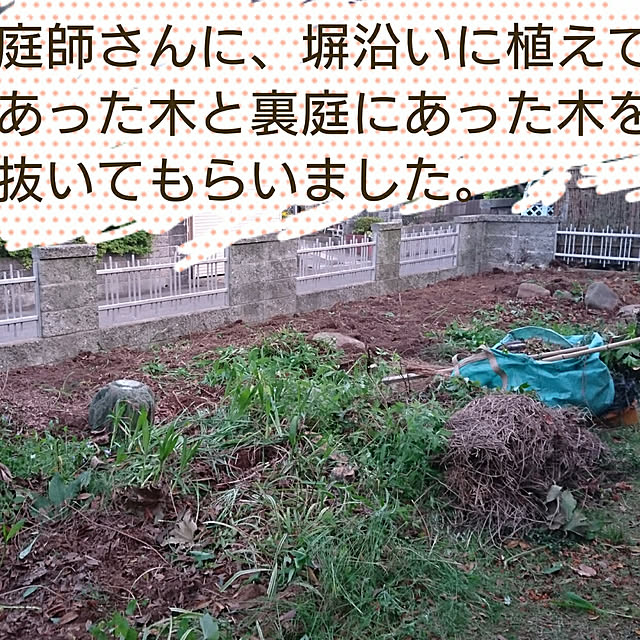 ameamekaasanさんの実例写真